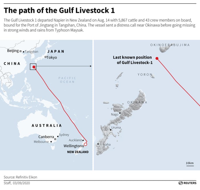 New Zealand Suspends Live Cattle Exports After Ship Sinks Environment The Guardian