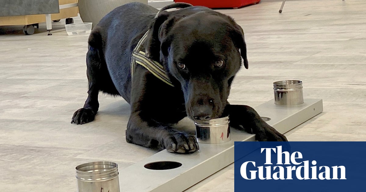 1368.jpg?width=1200&height=630&quality=8