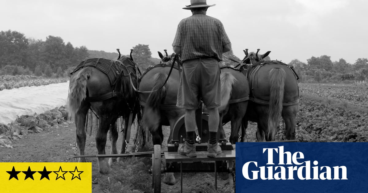 Workhorse review – beautiful but plodding paean to beasts of burden