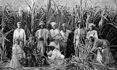 Black and white image of people standing in front of sugarcane crops