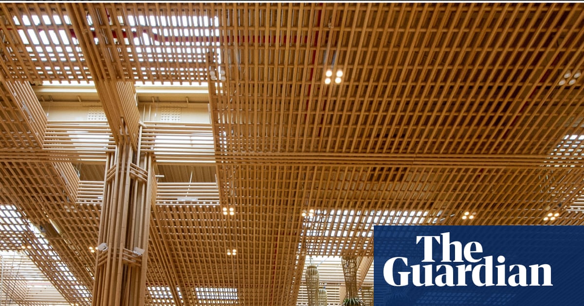 Schools, airports, high-rise towers: architects urged to get ‘bamboo-ready’