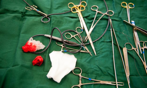Surgical tools used to perform operations on dogs at Battersea Dogs & Cats Home