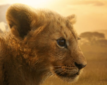 Following a cub’s journey to dominance in Lion.