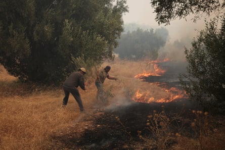 People using olive branches to beat back the flames