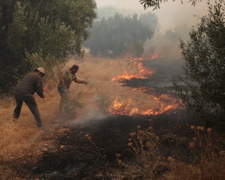 People using olive branches to beat back the flames