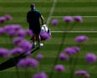 Sabalenka Advances, Alcaraz Seeks Third Wimbledon Title Amid Record Heat