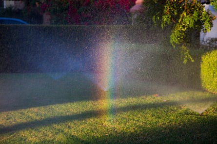 Rainbow in Front Yard Sprinkler Mist, Beverly Hills, California, USA.