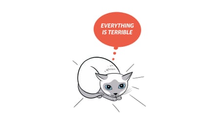 Extracted from KITTY LANGUAGE by Lili Chi