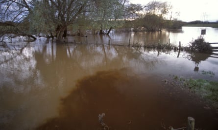 Slurry run off from a farm pollutes the River Lugg near Sutton St Nicholas, Herefordshire
