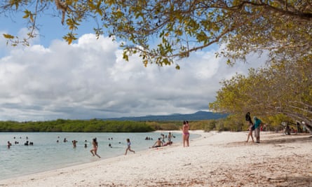 Tortuga Bay beach, Santa Cruz Island, Galapagos Islands, Ecuador