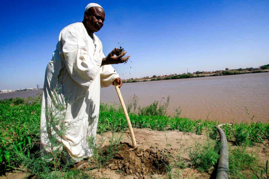 A farmer in the district of Jureif Gharb in Khartoum
