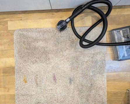 Vax SmartWash XL long pile after spot wash