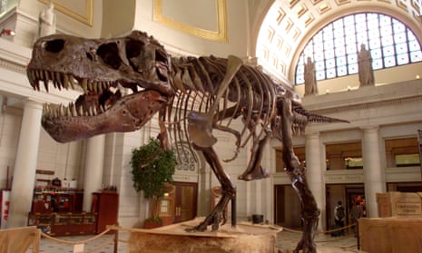 Sue the Tyrannosaurus rex on display in Washington D.C.