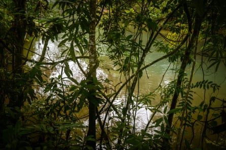 A river can be seen through trees