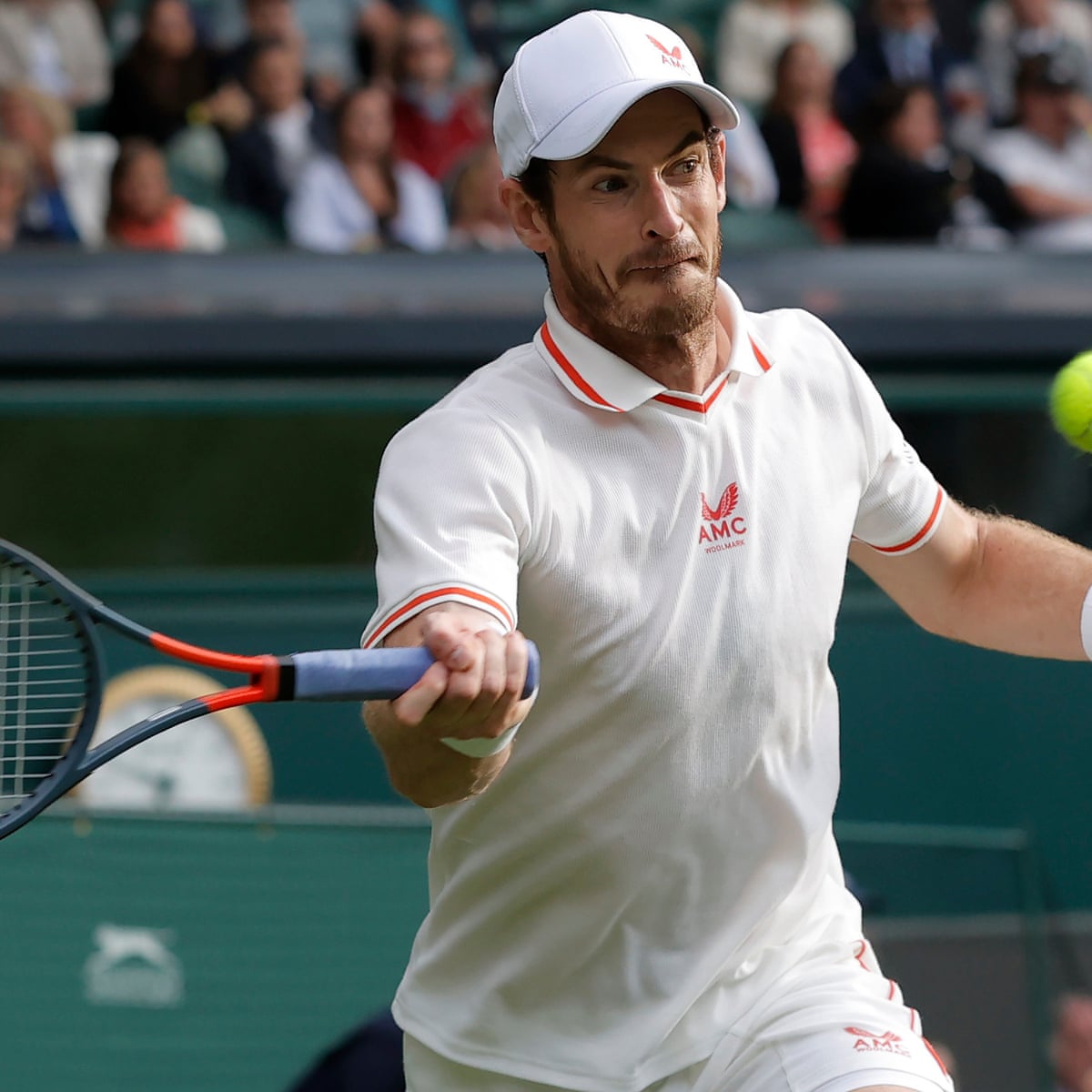 Andy murray agent contact