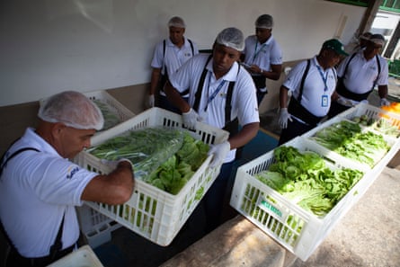 Trabalhadores com aventais e redes para o cabelo embalam alimentos em caixas