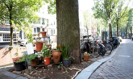Plant pots and bicycles in Amsterdam