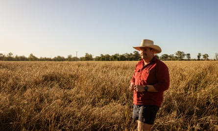 Farmer Murray O’Keefe stands at the edge of his flooded oat paddock near the swollen Namoi River