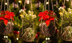 Kokedama – living baubles - at Wisley.