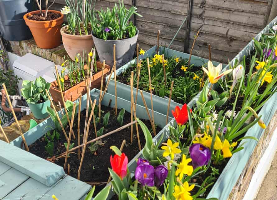 Mike Harris’s space-saving front garden.