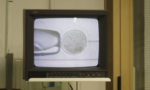 The insemination of an egg from one of the last two remaining female of northern white rhinos using frozen sperm at the Avantea laboratory in Cremona, Italy.