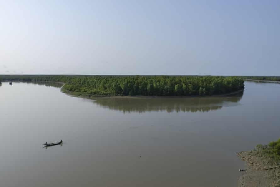 A canoe at a bend in a large river with mangrove forest in the background
