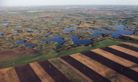 Farmlands encroaching on prairie potholes in North Dakota.