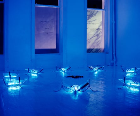 Transmission at Goldsmiths College; the installation has now been given an entire room at the Tate.