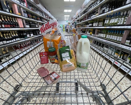 shopping staples in a supermarket trolley