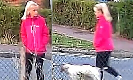 Woman dies four days after being attacked walking her dog in Suffolk | UK news | The Guardian Woman dies four days after being attacked walking her dog in Suffolk | UK news | The Guardian