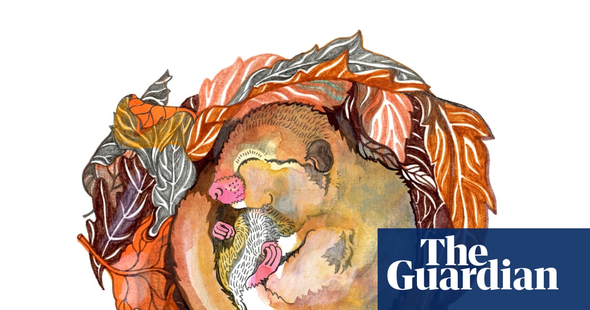 Why does nature sleep in winter and when did life first appear? The kids’ quiz