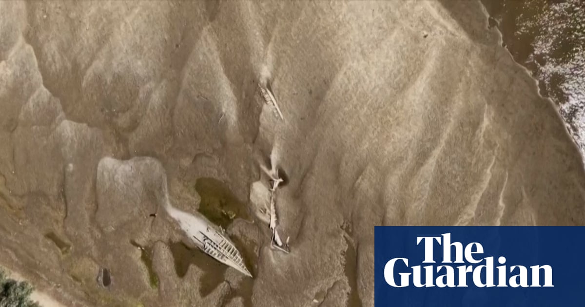 Europe hit by wildfires and severe drought – video