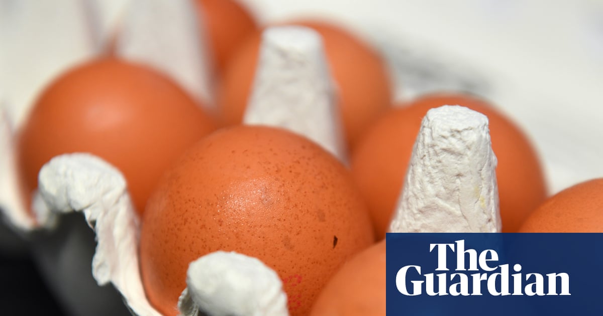 Warnings of imports of caged hen eggs as Ukraine and Poland become UK’s biggest suppliers