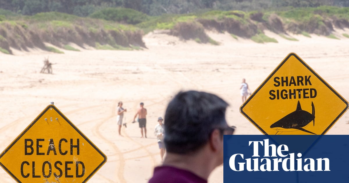 Sydney harbour shark attack: second incident in two days as police ...