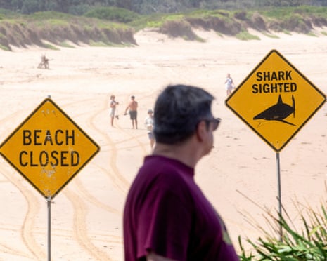 Sydney Harbour shark attack: second incident in two days as police ...