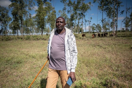 A man stands in a grassy area with trees behind him. There are some cattle in front of the trees. He holds a stick and a mobile phone