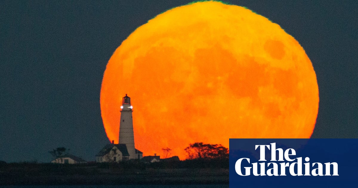 Сали Сноуман изпита философия за 20 те си години когато се