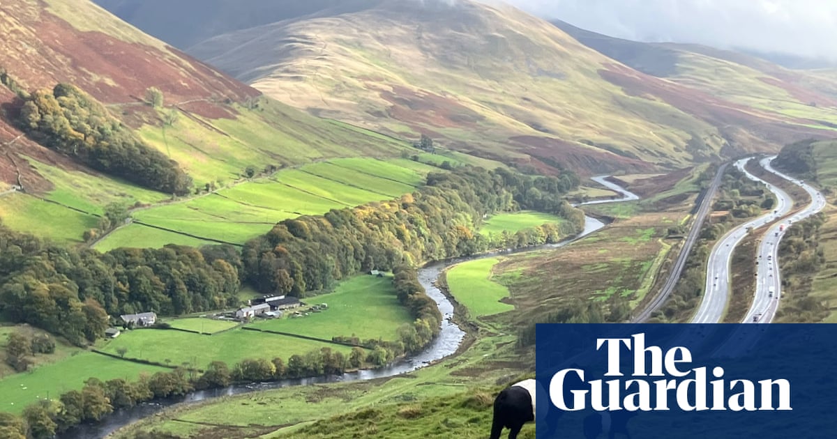 Country diary: A new chapter for the farm – we’re going organic | Andrea Meanwell