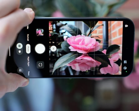 The camera app on the Google Pixel 10a being used to shoot a photo of a flower.