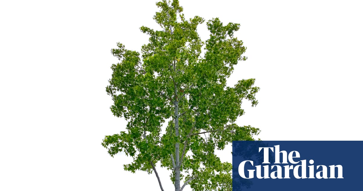 The secret to being happy in 2026? It’s far, far simpler than you think …