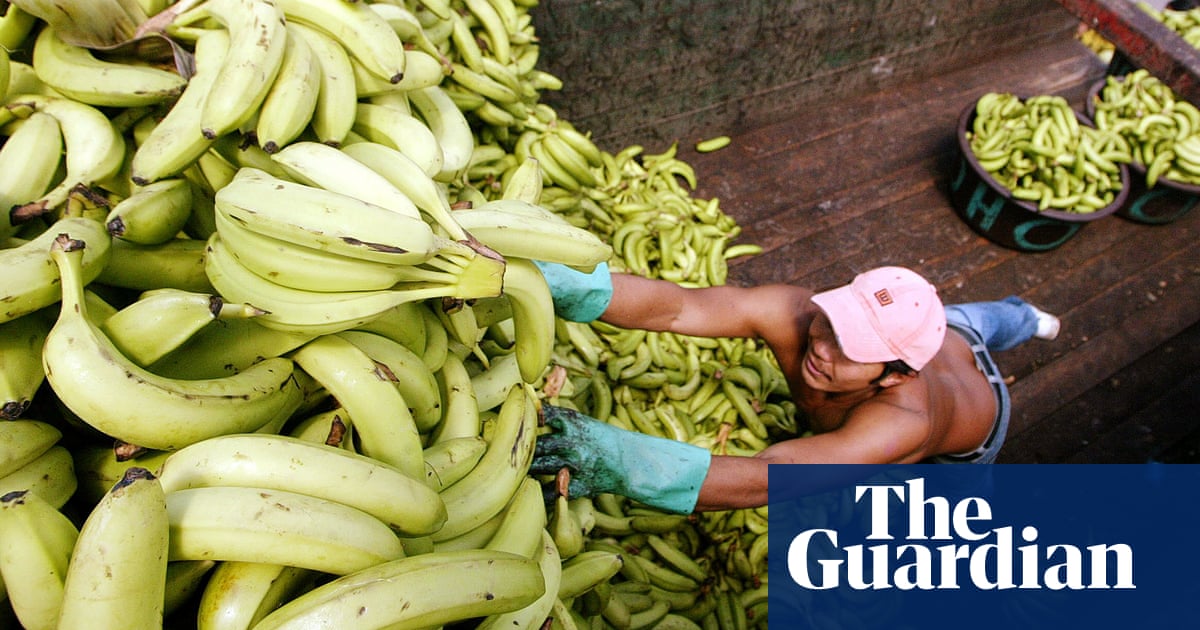 Banana price war in UK supermarkets is hurting farmers, growers warn