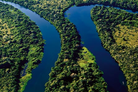 Brazil, Pantanal: Aerial photography of Rio Claro during Cessna flight