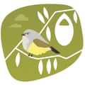 Illustration of a Weebill