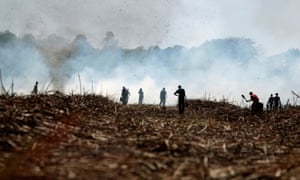 Smoke from burning sugar cane rises over workers on the San Antonio plantation in Chichigalpa, Nicaragua. Photograph: Esteban Felix/AP