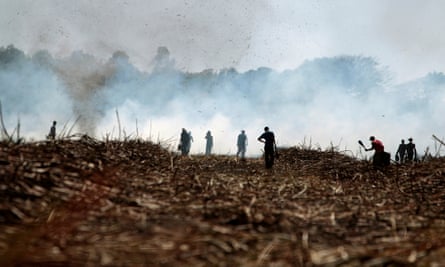 Sugar-cane cutters in Nicaragua, where abnormally high numbers of agricultural workers suffer from CKDu (chronic kidney disease of unknown causes).