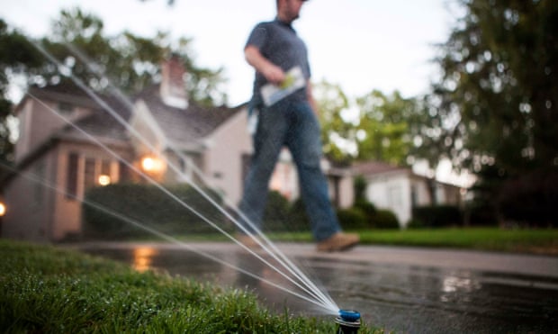 A sprinkler in use at a home in California. One household in Bel Air used 1.18m gallons of water in one year, enough for 90 homes.