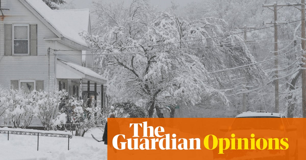 US states must stop the power shutoffs during the shutdown | Edward J Markey and Mark Wolfe