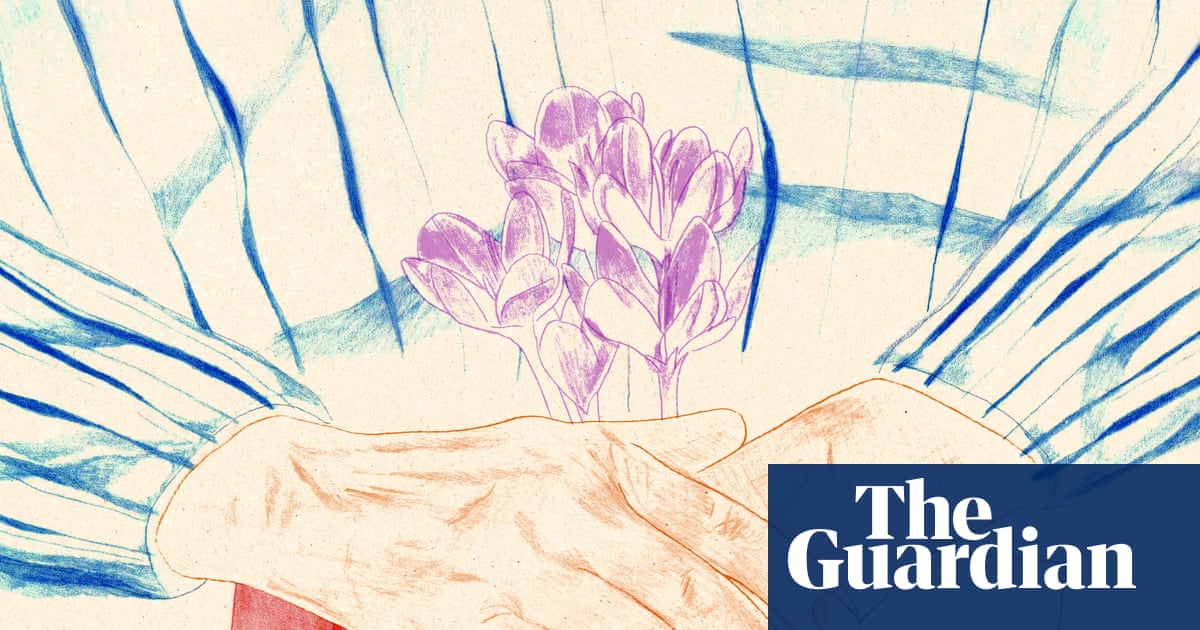 A death, a plagiarism scandal and a quest for revenge: the bizarre tale of Otto Z