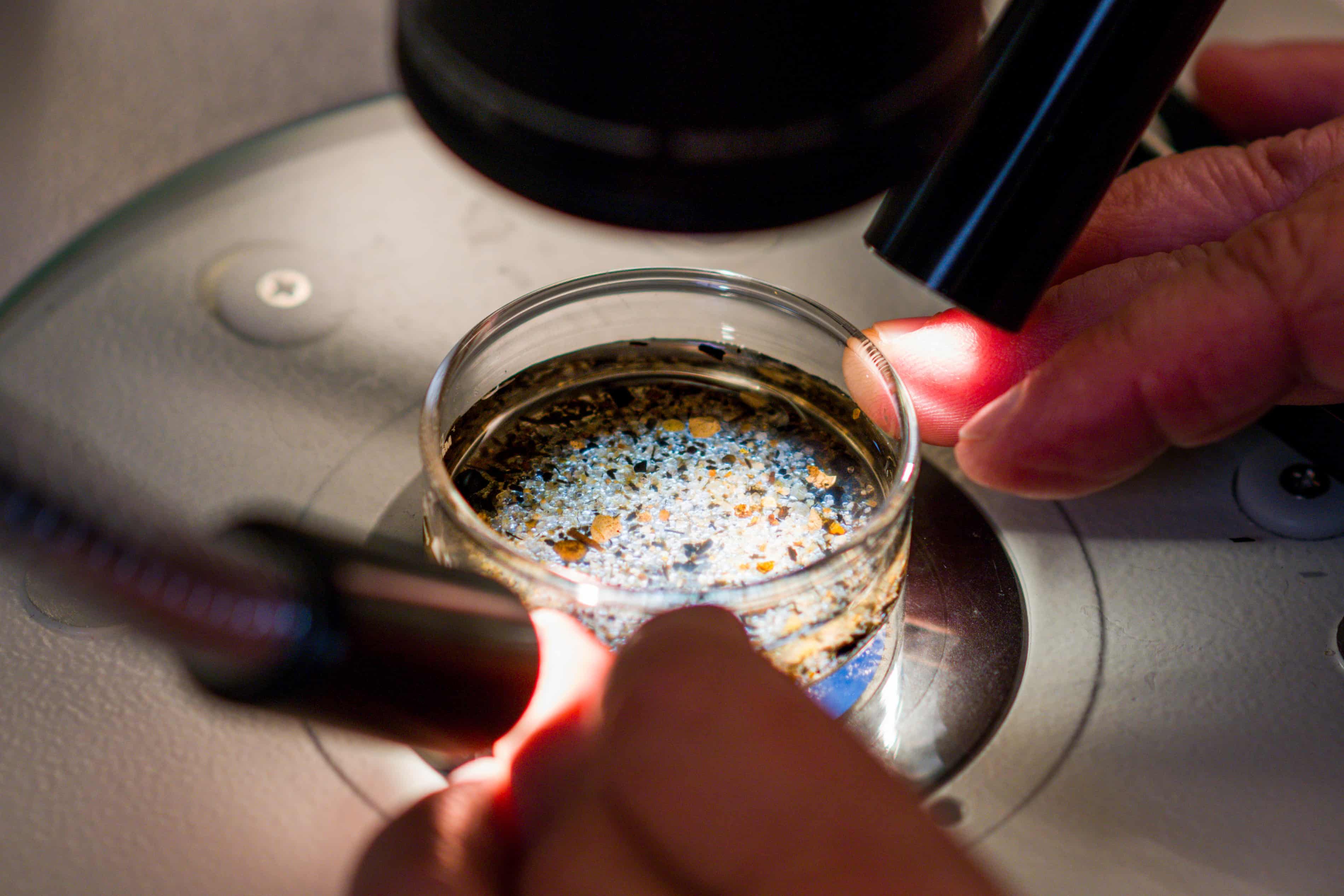 PFAS and microplastics become more toxic when combined, research shows (theguardian.com)