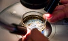 PFAS and microplastics become more toxic when combined, research shows